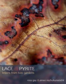 Lace & Pyrite - Aimee Nezhukumatathil - 02/23/2017 - 7:00pm