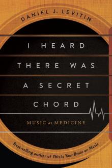 I Heard There Was a Secret Chord Cover