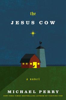 The Jesus Cow - Michael Perry - 06/10/2015 - 7:00pm