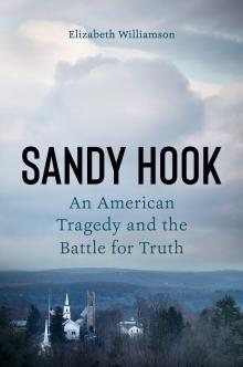 Photo of book, Sandy Hook