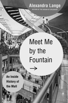 Hardcover of Meet Me By the Fountain