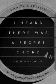I Heard There Was a Secret Chord Cover