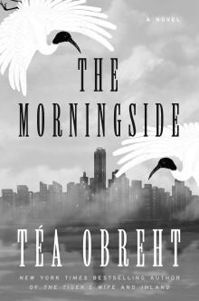 The Morningside Book Cover