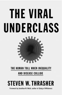 Photo of book, The Viral Underclass